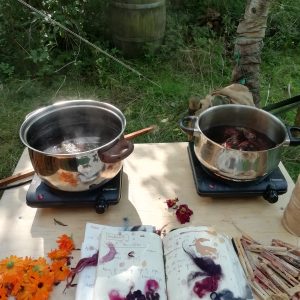 natural dyes immersion dyeing