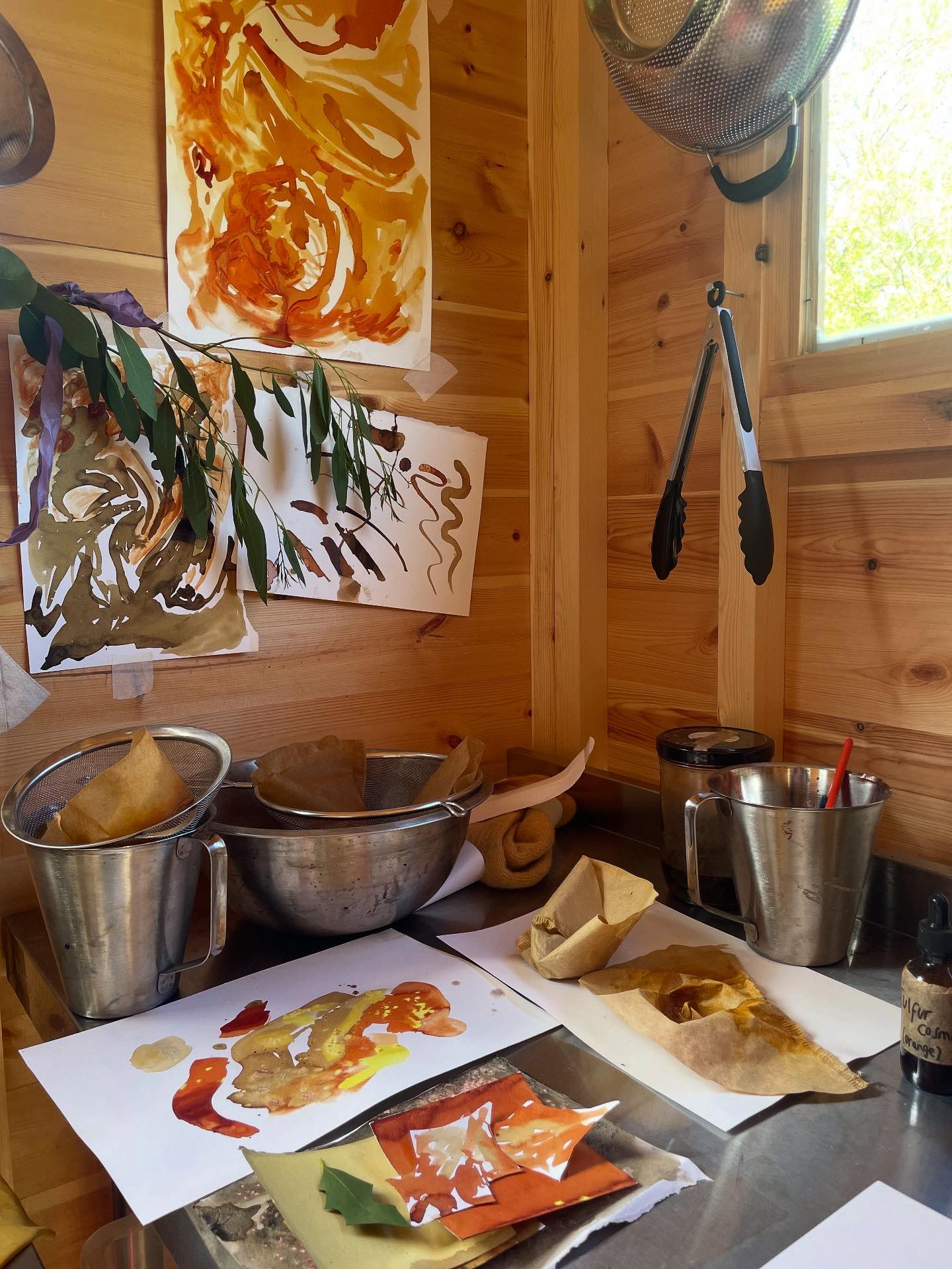 Ink Making and Colour-scape Drawing with Ffion Taverner